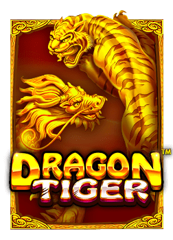 slotpg909 เกม ไพ่ โป ก เกอร์ ออนไลน์ แบบทดลองเล่น สุดสนุก